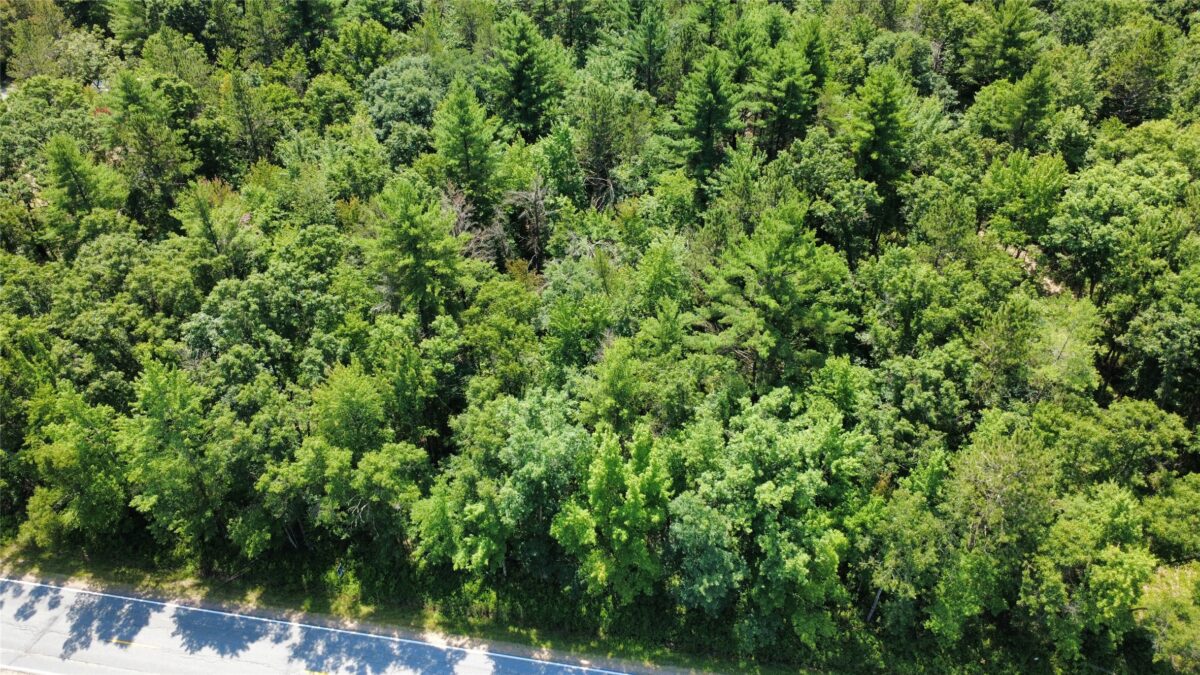 Lot 3 Highway K, Hatfield WI 54754 - Land house for sale - MLS #1598541 - image5