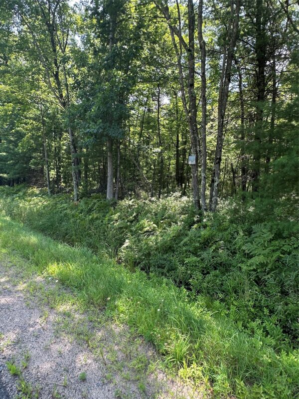 Lot 3 Highway K, Hatfield WI 54754 - Land house for sale - MLS #1598541 - image6