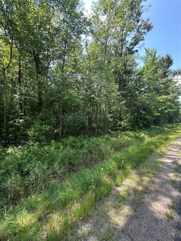 Lot 3 Highway K, Hatfield WI 54754 - Land house for sale - MLS #1598541 - image7