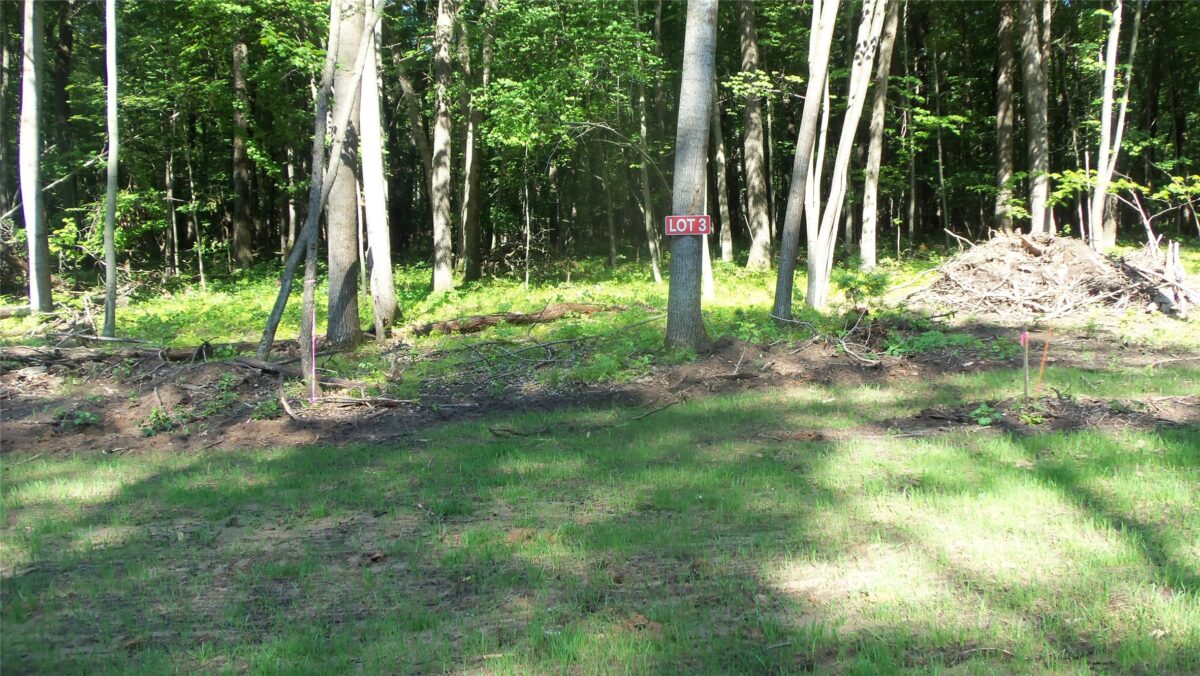Lot 3 Howard Johnson Trail, Siren WI 54872 - Land house for sale - MLS #1603643 - image2