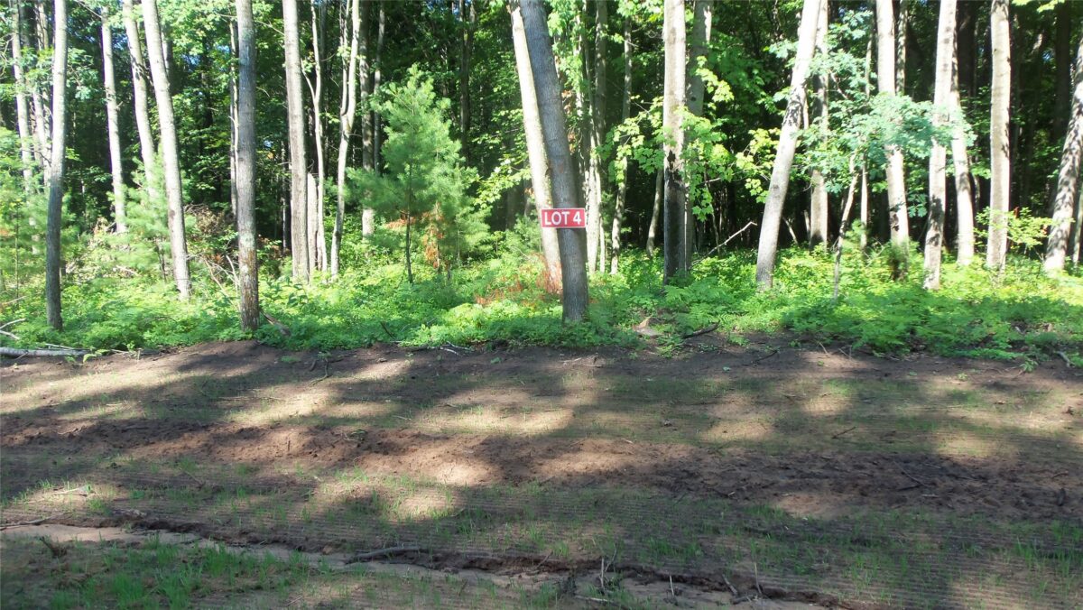Lot 3 Howard Johnson Trail, Siren WI 54872 - Land house for sale - MLS #1603643 - image10