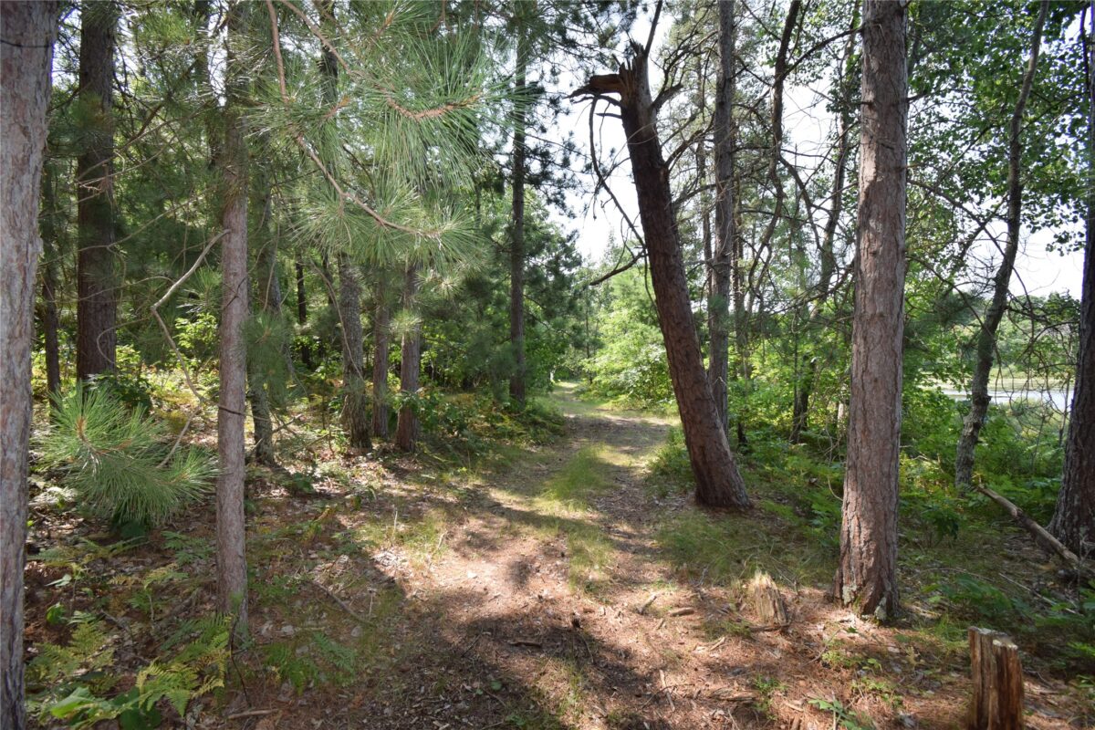 Lot 3 South Point Trail, Danbury WI 54830 - Land house for sale - MLS #1604086 - image11