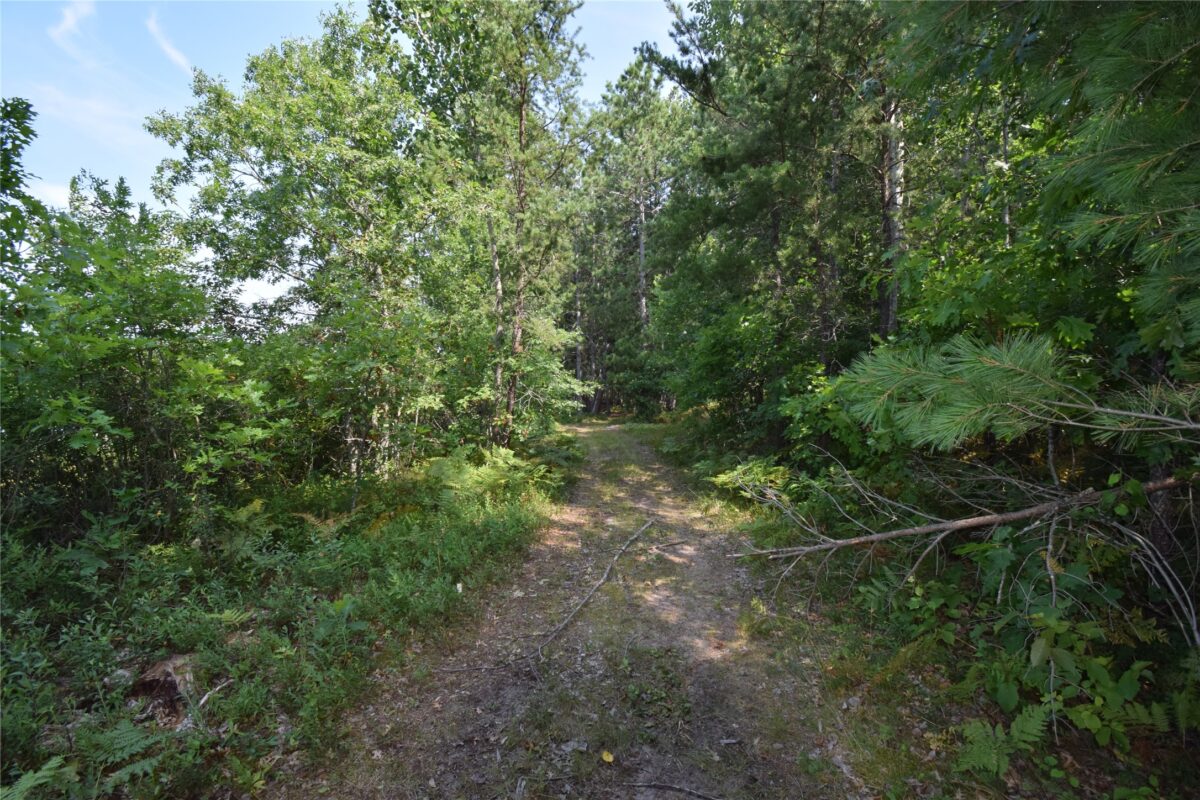 Lot 3 South Point Trail, Danbury WI 54830 - Land house for sale - MLS #1604086 - image12