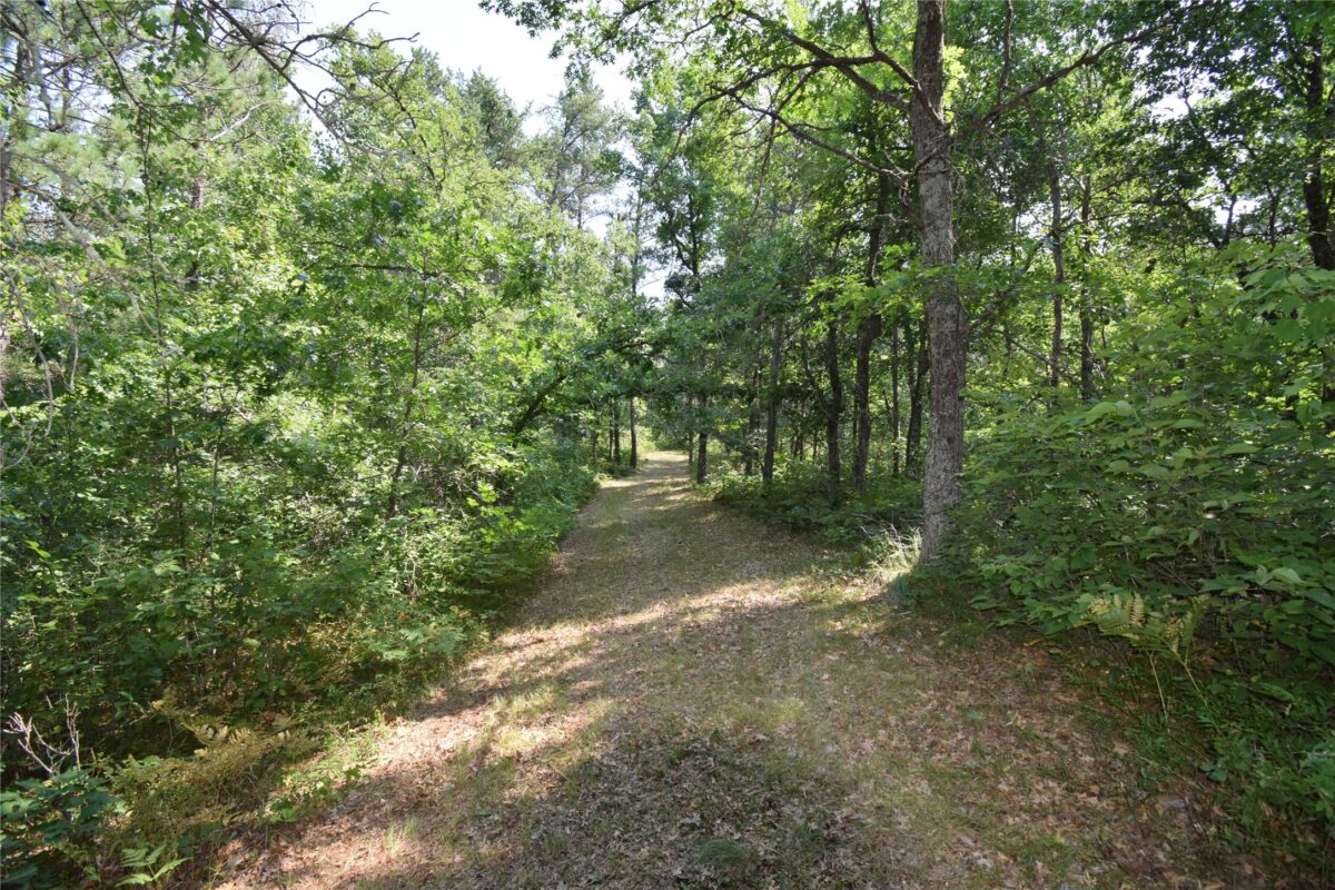 Lot 3 South Point Trail, Danbury WI 54830 - Land house for sale - MLS #1604086 - image14