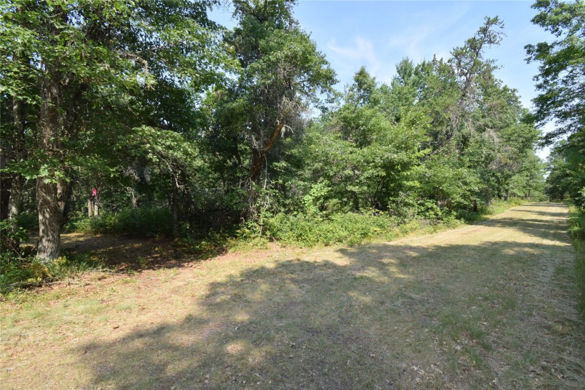 Lot 3 South Point Trail, Danbury WI 54830 - Land house for sale - MLS #1604086 - image15