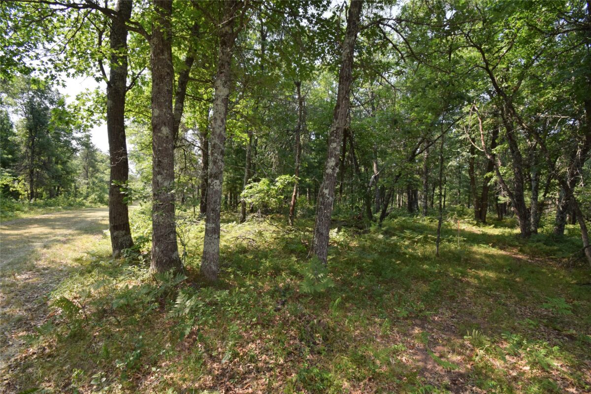 Lot 3 South Point Trail, Danbury WI 54830 - Land house for sale - MLS #1604086 - image17