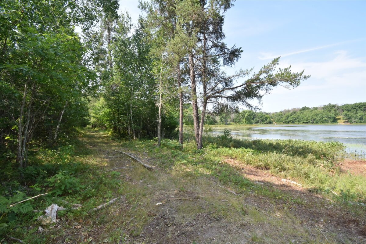 Lot 3 South Point Trail, Danbury WI 54830 - Land house for sale - MLS #1604086 - image7