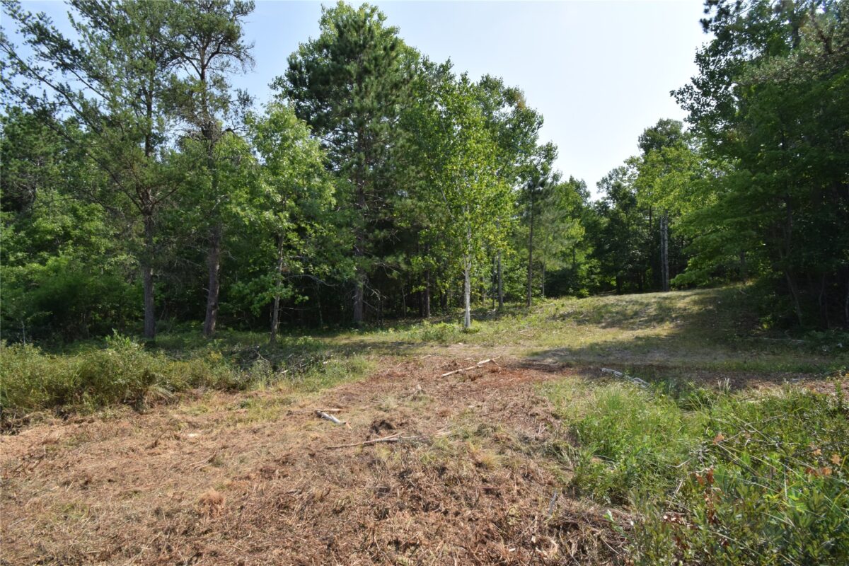 Lot 3 South Point Trail, Danbury WI 54830 - Land house for sale - MLS #1604086 - image8