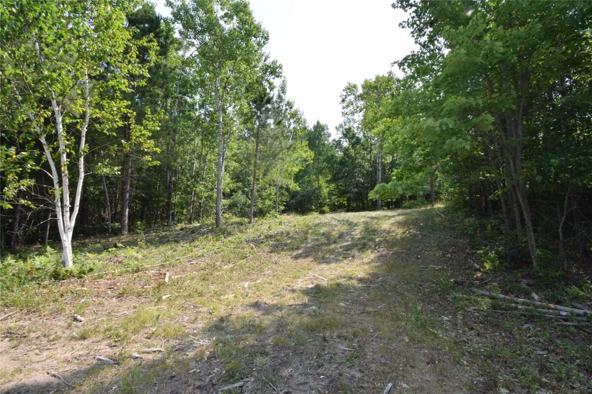 Lot 3 South Point Trail, Danbury WI 54830 - Land house for sale - MLS #1604086 - image9