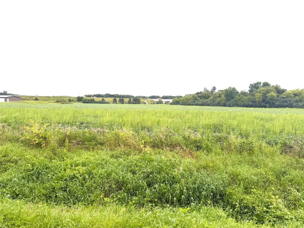 Lot 3 Van Tassel Rd, Osseo WI 54758 - Land house for sale - MLS #1604188 - image2