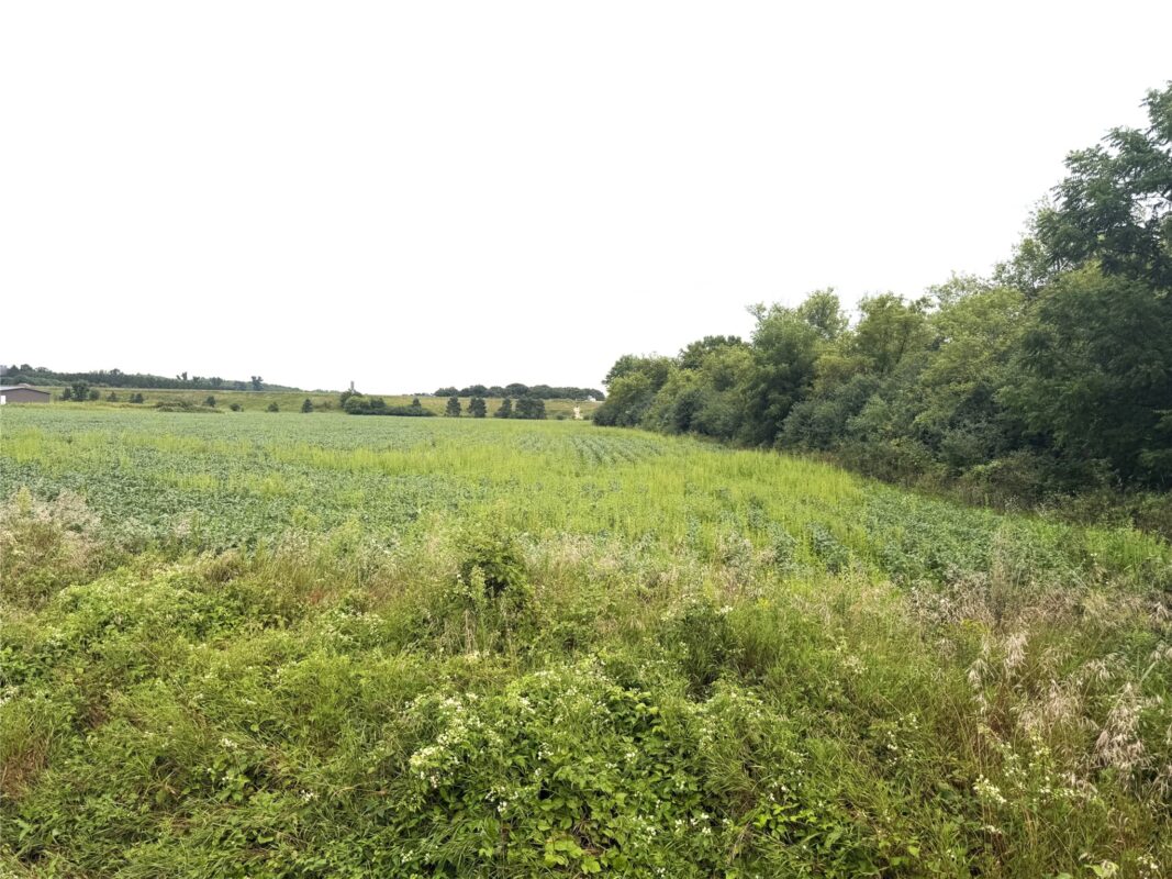 Lot 3 Van Tassel Rd, Osseo WI 54758 - Land house for sale - MLS #1604188 - image5