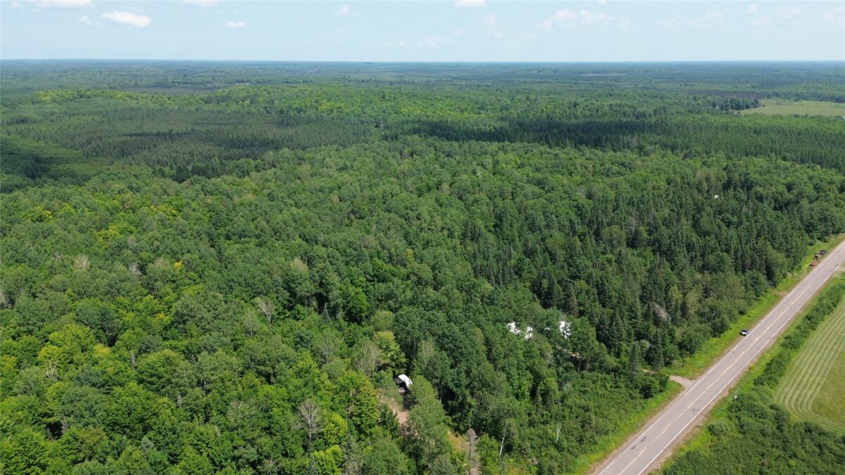 Lot 3 W Highway, Winter WI 54896 - Land house for sale - MLS #1603803 - image11