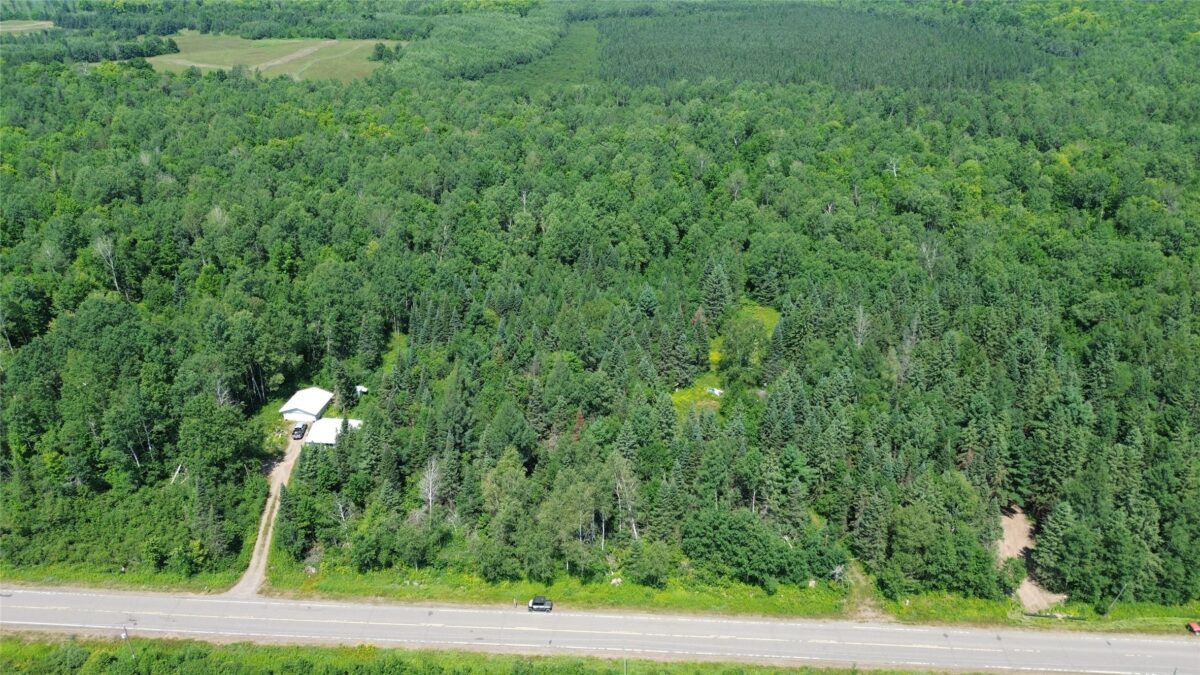 Lot 3 W Highway, Winter WI 54896 - Land house for sale - MLS #1603803 - image14