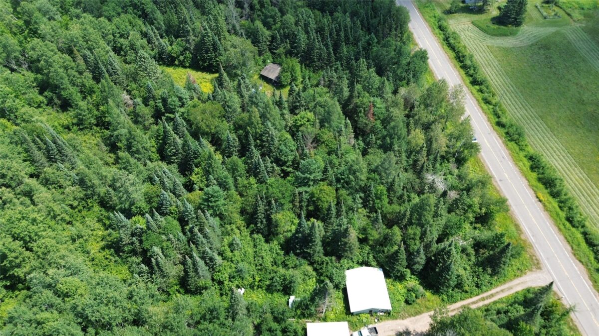 Lot 3 W Highway, Winter WI 54896 - Land house for sale - MLS #1603803 - image3
