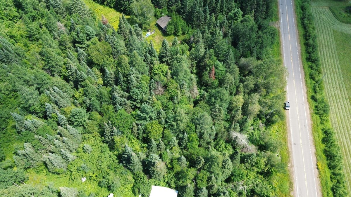 Lot 3 W Highway, Winter WI 54896 - Land house for sale - MLS #1603803 - image4