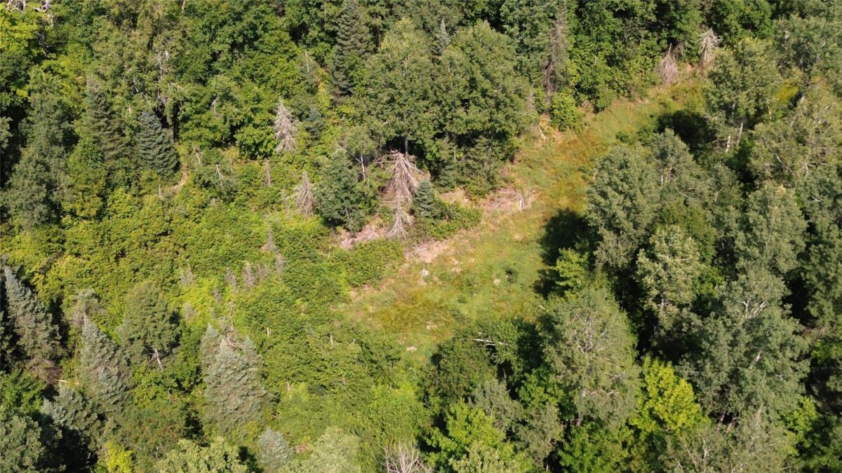 Lot 3 W Highway, Winter WI 54896 - Land house for sale - MLS #1603803 - image7