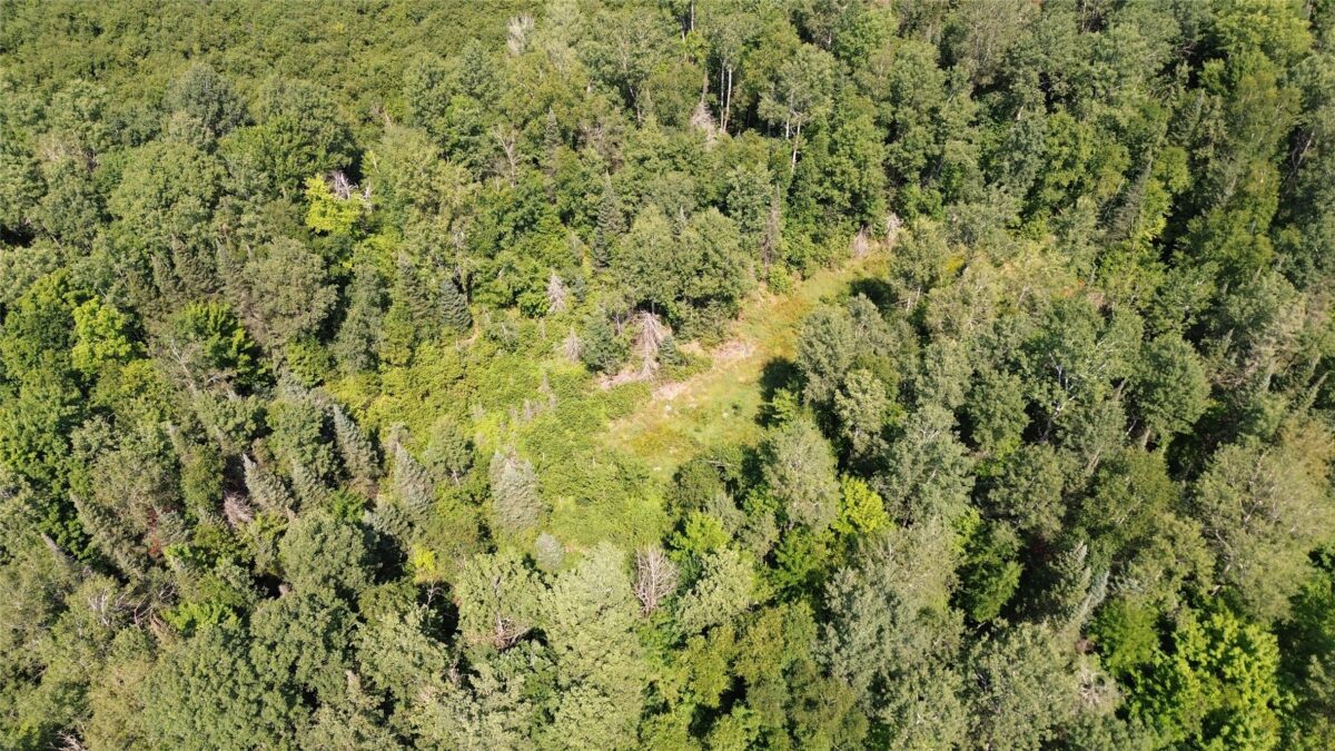 Lot 3 W Highway, Winter WI 54896 - Land house for sale - MLS #1603803 - image8