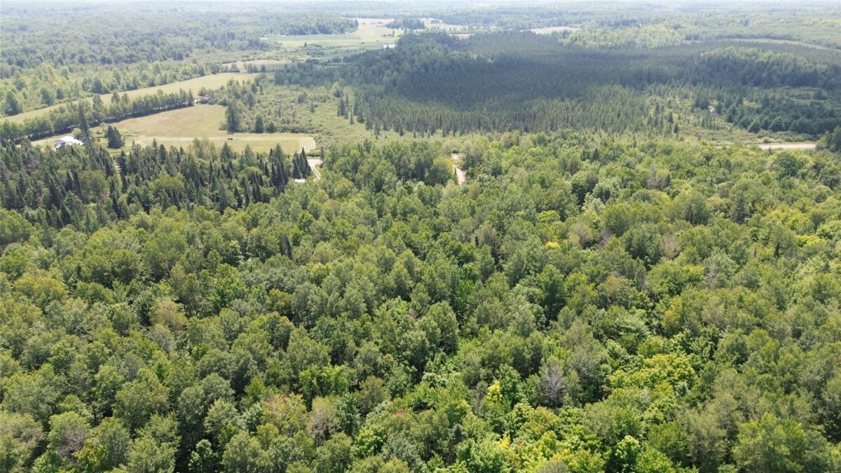 Lot 3 W Highway, Winter WI 54896 - Land house for sale - MLS #1603803 - image9