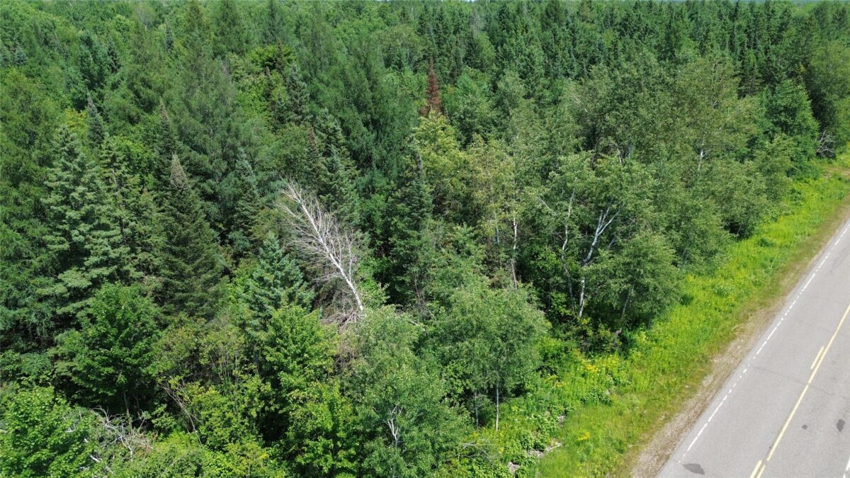 Lot 3 W Highway, Winter WI 54896 - Land house for sale - MLS #1603803 - image10