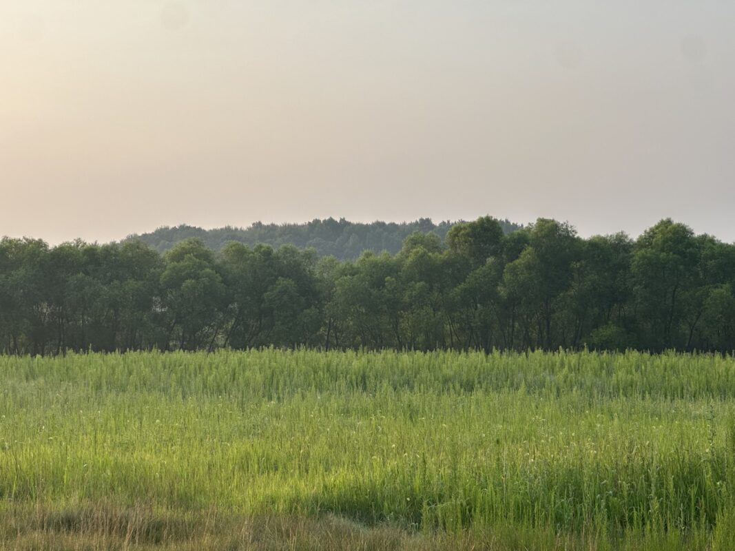 Lot 4 28th Avenue, Elk Mound WI 54739 - Land house for sale - MLS #1603642 - image2