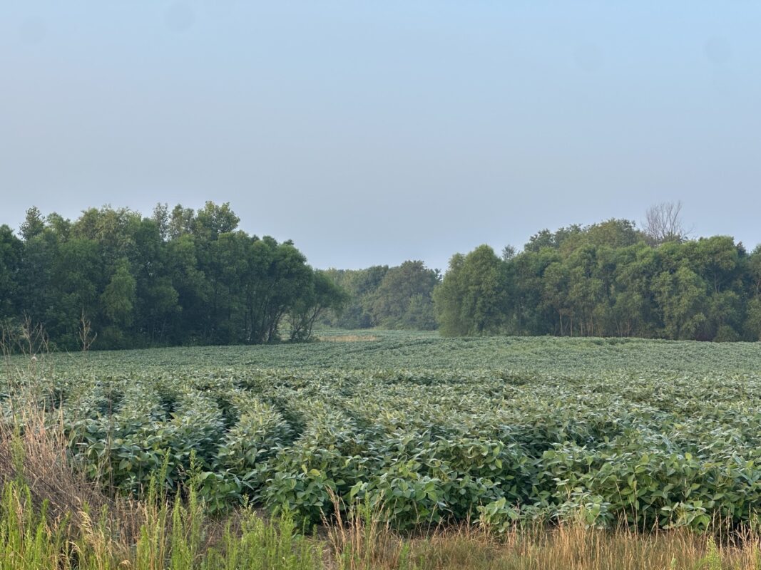 Lot 4 28th Avenue, Elk Mound WI 54739 - Land house for sale - MLS #1603642 - image3