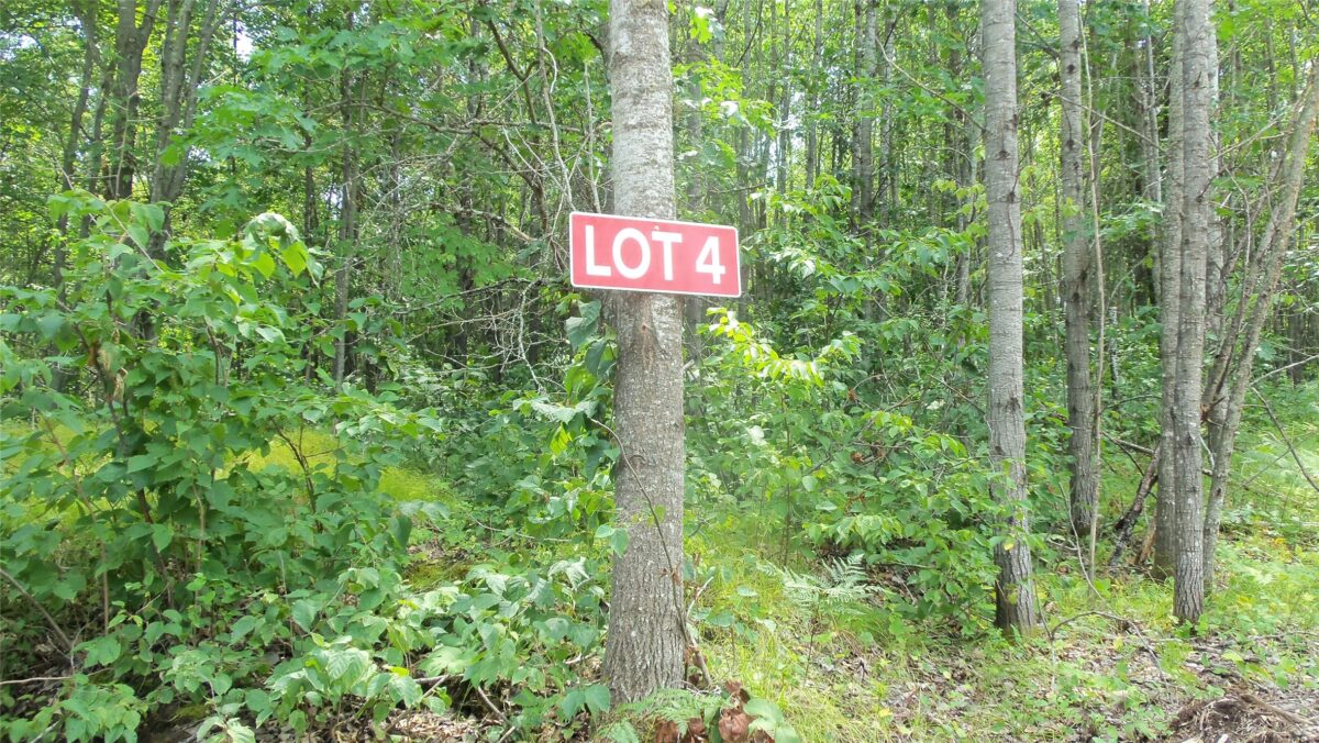 Lot 4 Birch Tree Trl, Spooner WI 54801 - Land house for sale - MLS #1603812 - image2
