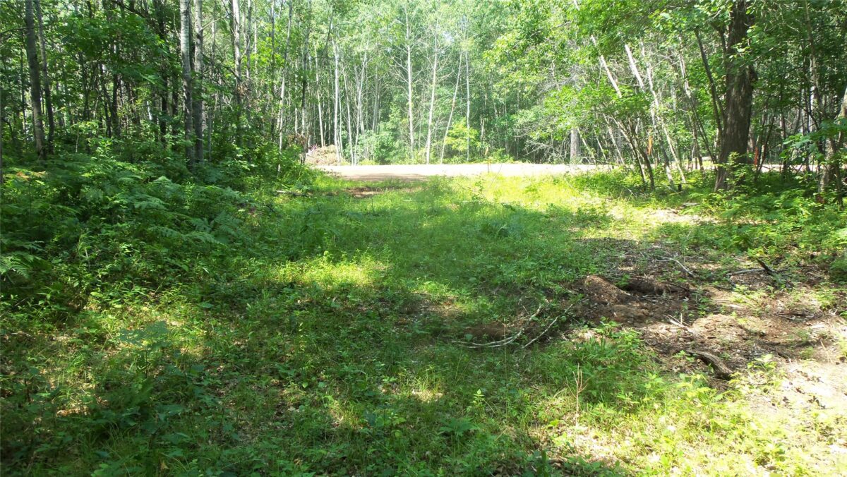 Lot 4 Birch Tree Trl, Spooner WI 54801 - Land house for sale - MLS #1603812 - image6