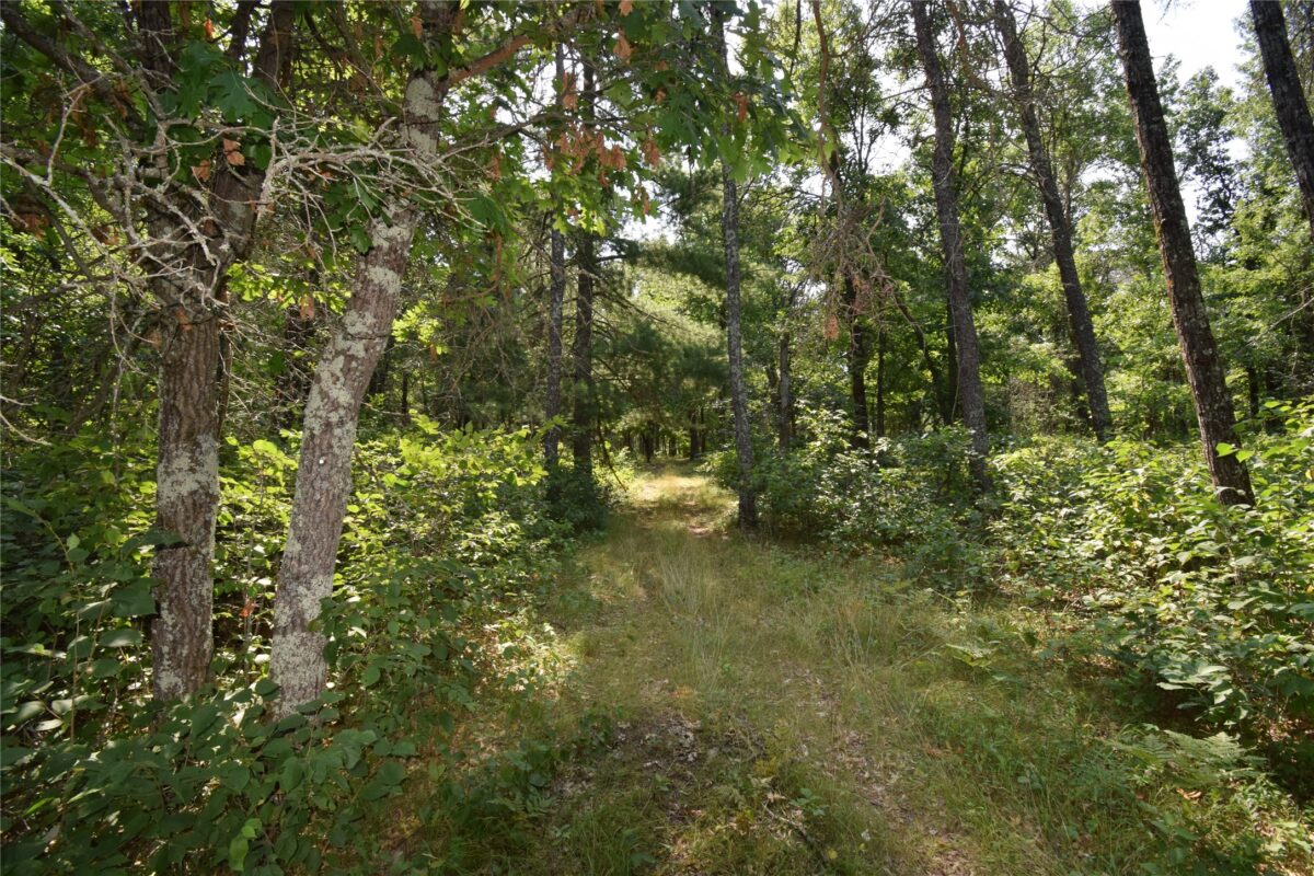 Lot 4 South Point Trail, Danbury WI 54830 - Land house for sale - MLS #1604093 - image11
