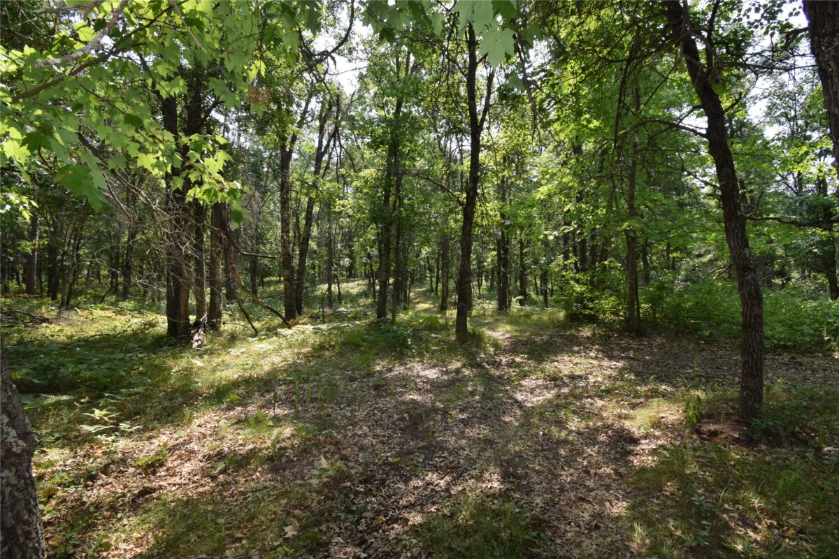 Lot 4 South Point Trail, Danbury WI 54830 - Land house for sale - MLS #1604093 - image12