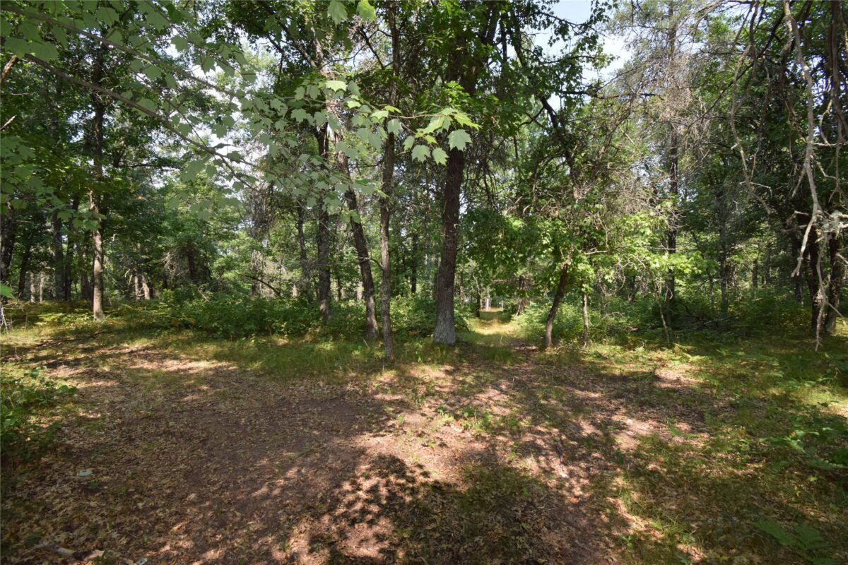 Lot 4 South Point Trail, Danbury WI 54830 - Land house for sale - MLS #1604093 - image13