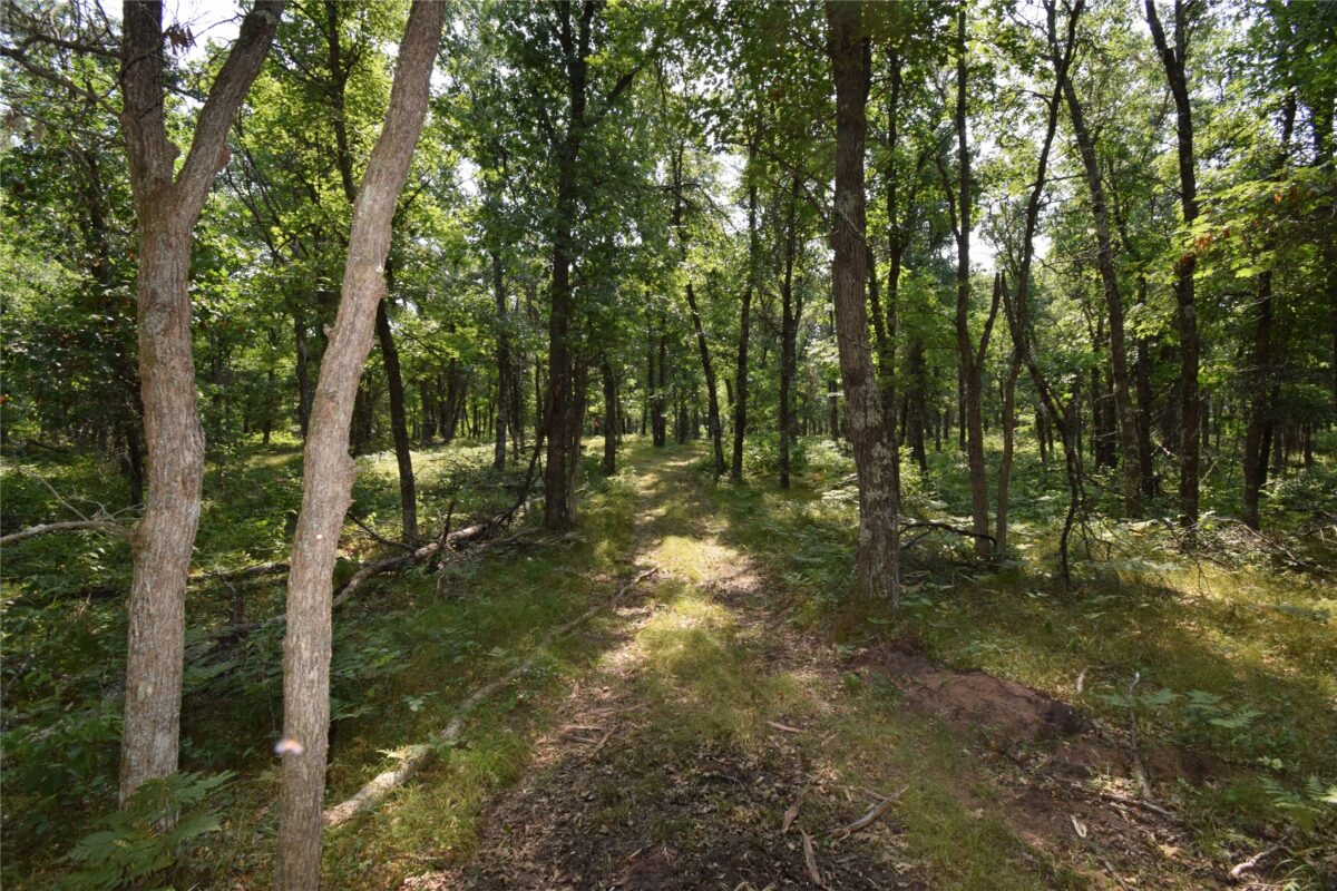Lot 4 South Point Trail, Danbury WI 54830 - Land house for sale - MLS #1604093 - image14