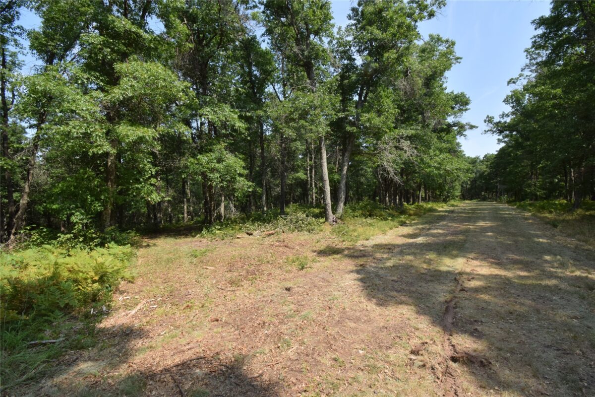 Lot 4 South Point Trail, Danbury WI 54830 - Land house for sale - MLS #1604093 - image15