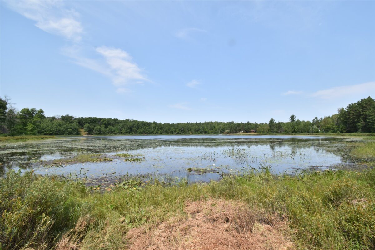 Lot 4 South Point Trail, Danbury WI 54830 - Land house for sale - MLS #1604093 - image3