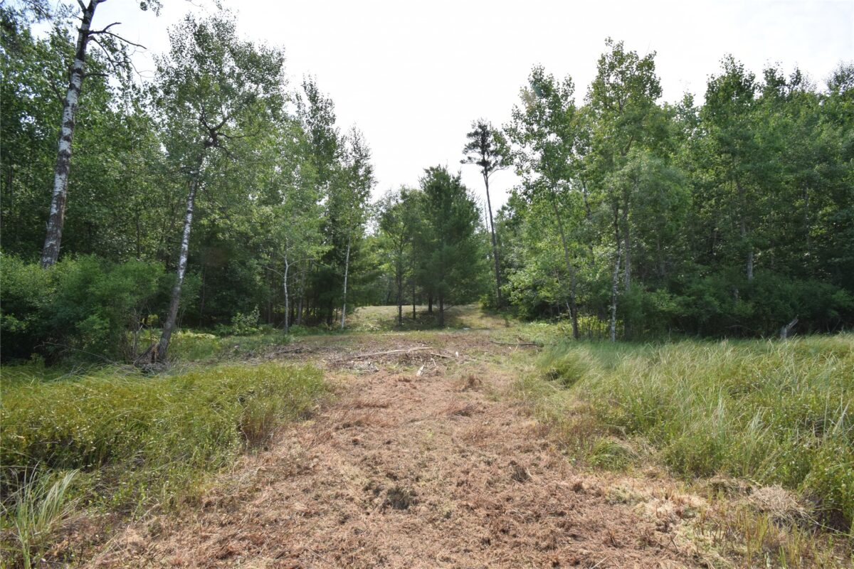 Lot 4 South Point Trail, Danbury WI 54830 - Land house for sale - MLS #1604093 - image4