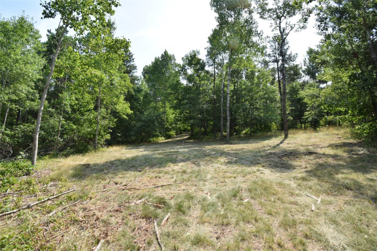 Lot 4 South Point Trail, Danbury WI 54830 - Land house for sale - MLS #1604093 - image5
