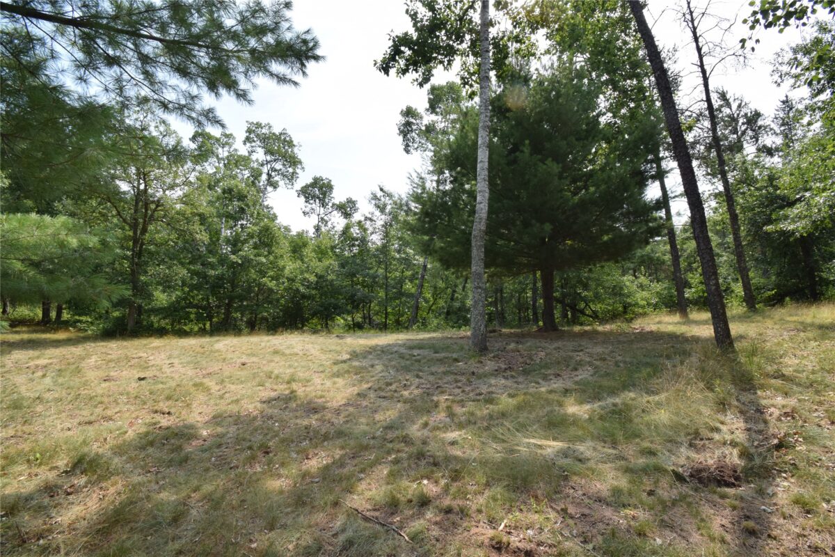Lot 4 South Point Trail, Danbury WI 54830 - Land house for sale - MLS #1604093 - image6
