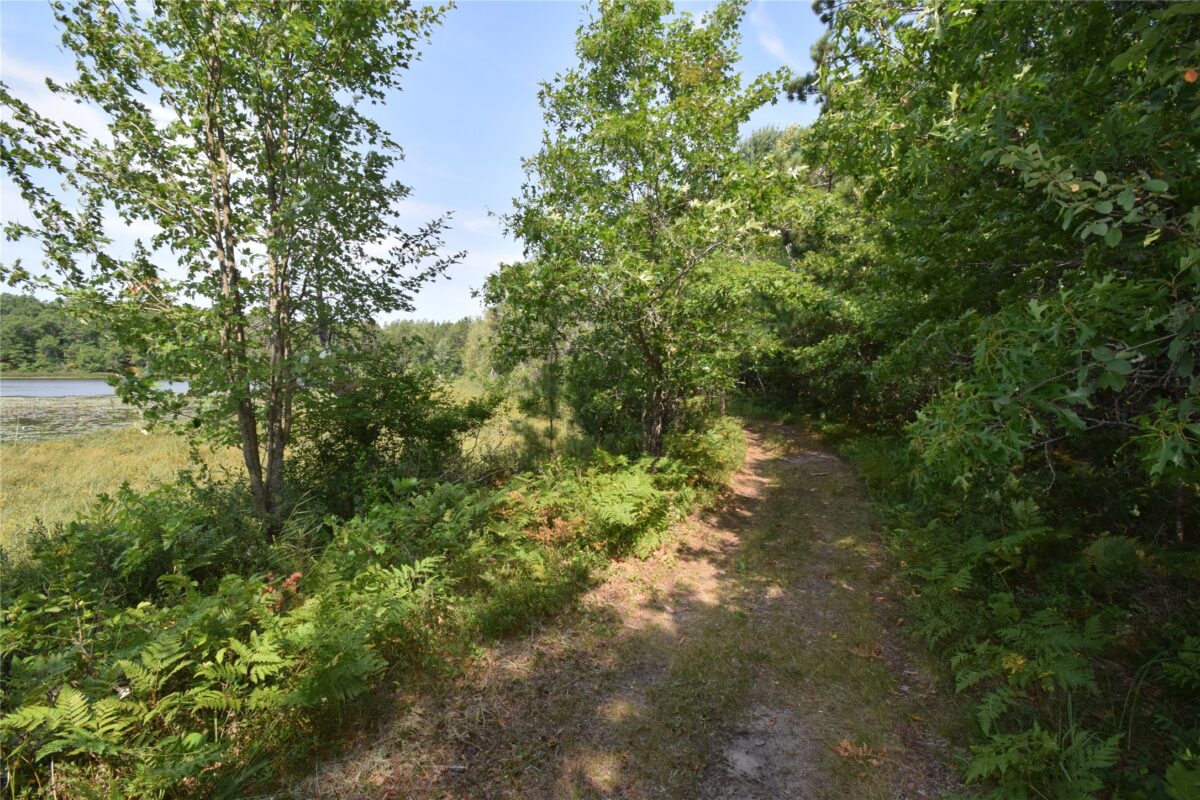Lot 4 South Point Trail, Danbury WI 54830 - Land house for sale - MLS #1604093 - image8