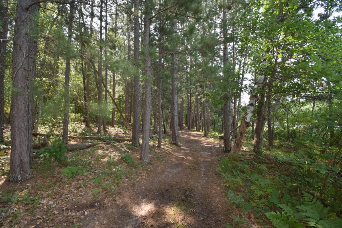 Lot 4 South Point Trail, Danbury WI 54830 - Land house for sale - MLS #1604093 - image9