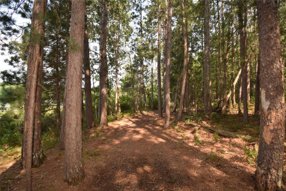 Lot 4 South Point Trail, Danbury WI 54830 - Land house for sale - MLS #1604093 - image10