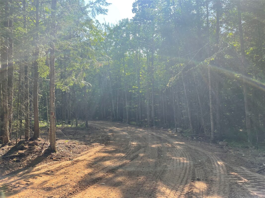 Lot 4 Uncle Toms Road, Loretta WI 54896 - Land house for sale - MLS #1603743 - image2
