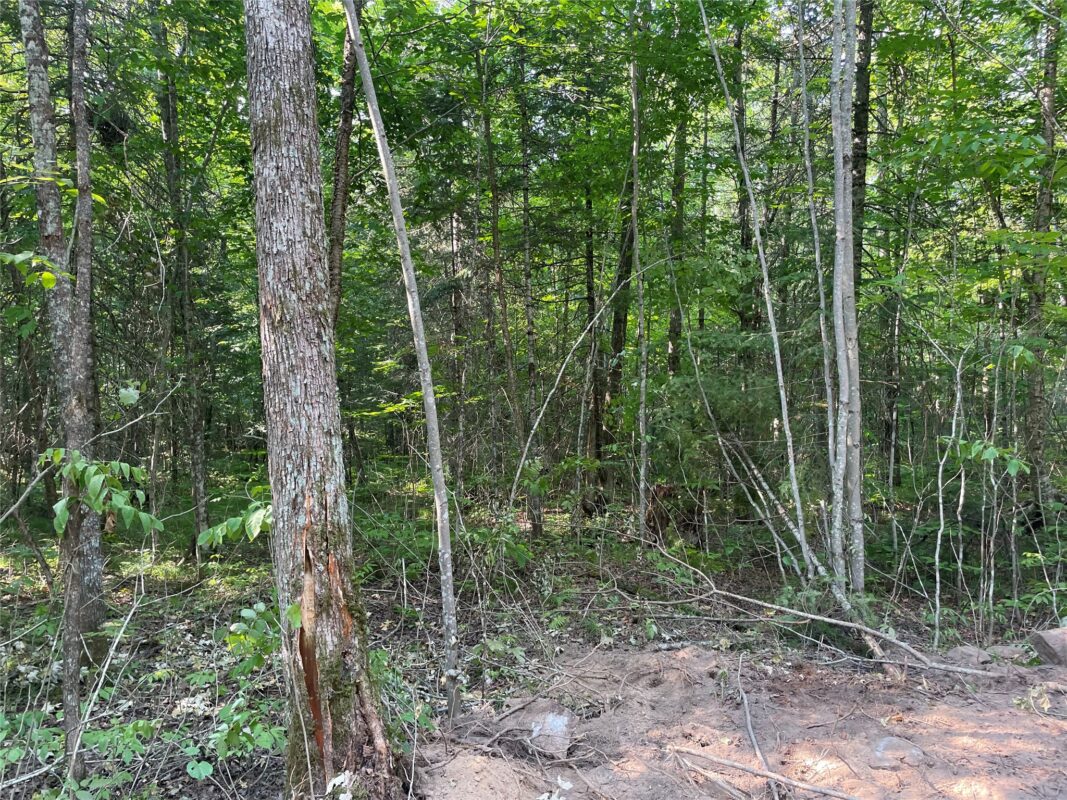 Lot 4 Uncle Toms Road, Loretta WI 54896 - Land house for sale - MLS #1603743 - image12