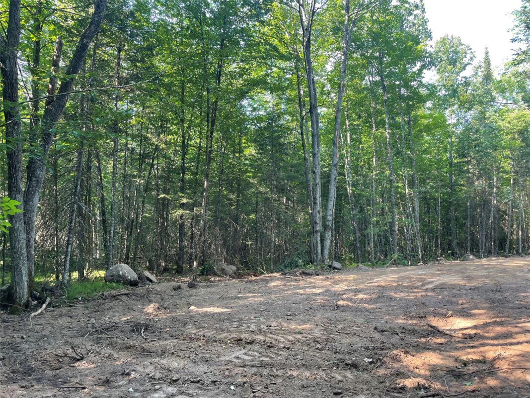 Lot 4 Uncle Toms Road, Loretta WI 54896 - Land house for sale - MLS #1603743 - image13