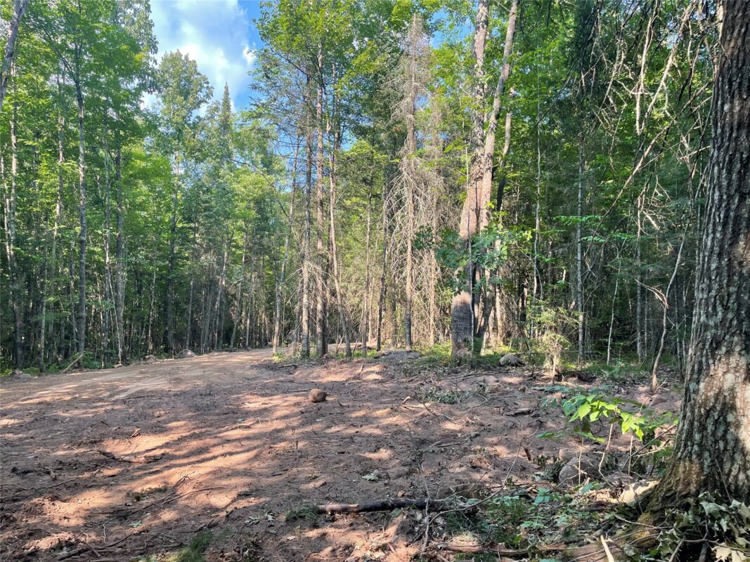 Lot 4 Uncle Toms Road, Loretta WI 54896 - Land house for sale - MLS #1603743 - image14