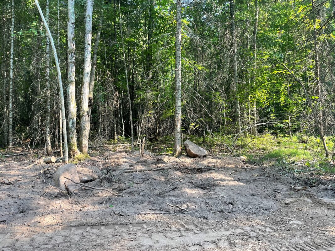 Lot 4 Uncle Toms Road, Loretta WI 54896 - Land house for sale - MLS #1603743 - image15