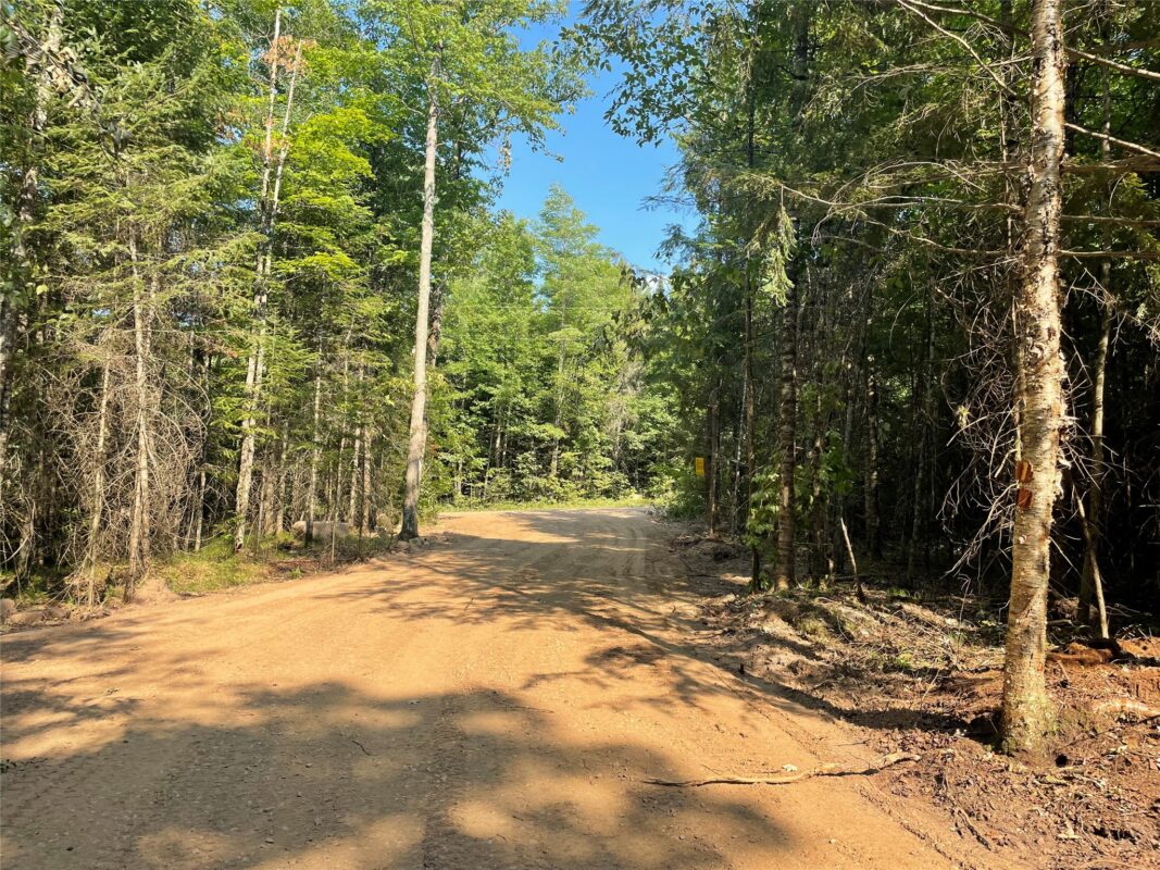 Lot 4 Uncle Toms Road, Loretta WI 54896 - Land house for sale - MLS #1603743 - image17
