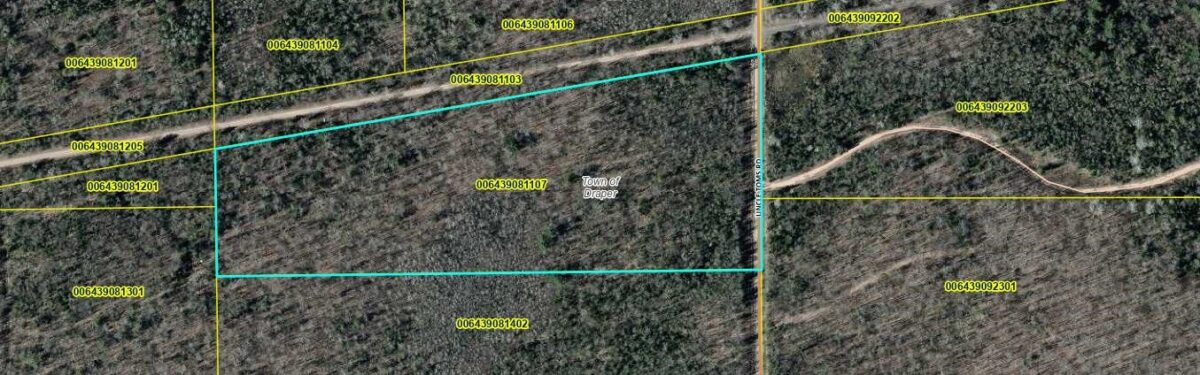 Lot 4 Uncle Toms Road, Loretta WI 54896 - Land house for sale - MLS #1603743 - image19