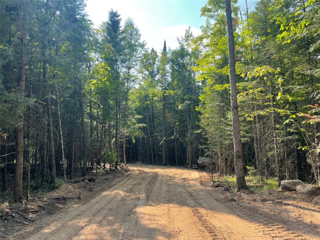 Lot 4 Uncle Toms Road, Loretta WI 54896 - Land house for sale - MLS #1603743 - image3