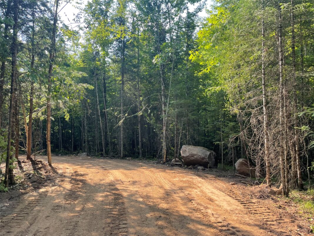 Lot 4 Uncle Toms Road, Loretta WI 54896 - Land house for sale - MLS #1603743 - image4