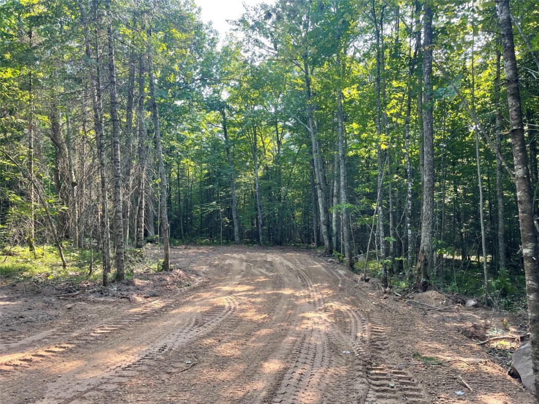 Lot 4 Uncle Toms Road, Loretta WI 54896 - Land house for sale - MLS #1603743 - image5