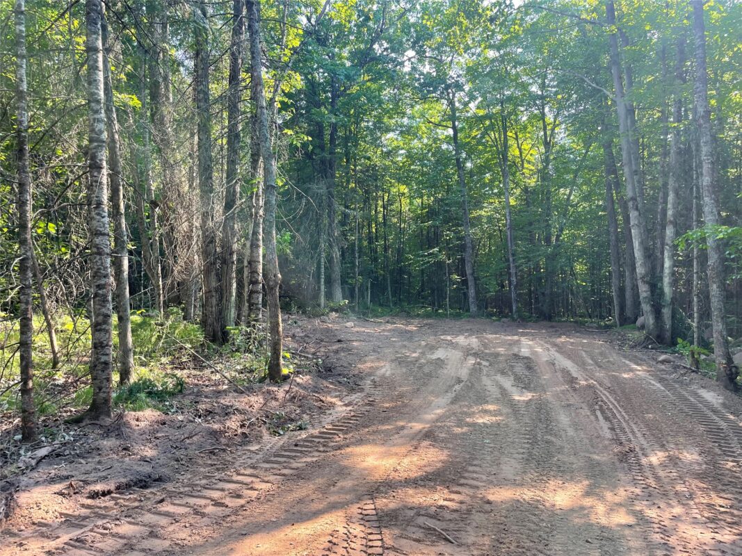 Lot 4 Uncle Toms Road, Loretta WI 54896 - Land house for sale - MLS #1603743 - image6